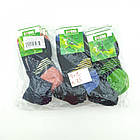 Шкарпетки жіночі, махровый след, "Полосочка", треккинговая резинка, SOCKS, р25-27, с цветной пяткой, темное, фото 6