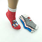 Шкарпетки дитячі МАХРА для хлопчика з малюнками "Добра пара", р 16-18, асорті, 20028886, фото 2
