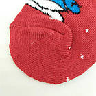 Шкарпетки дитячі МАХРА для хлопчика з малюнками "Добра пара", р 16-18, асорті, 20028886, фото 3