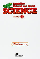 Macmillan Natural and Social Science 1 Flashcards