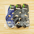 Шкарпетки жіночі махрові середні Житомир "Koi" 36-41 bambu лисиця випадкове асорті 20039172, фото 7