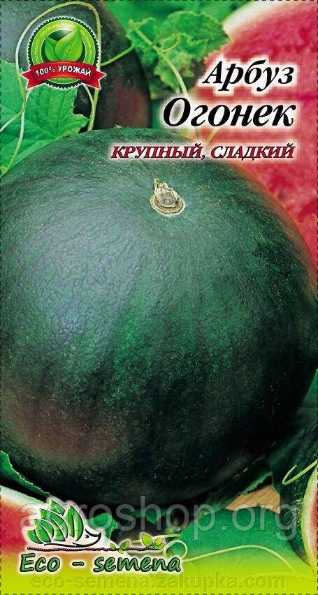 Насіння Капуста Московська зимня 5г