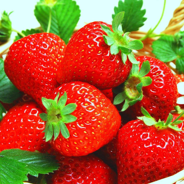 Анна Лукьянованың порносы Үлкен жопалы минет қыздармен порно