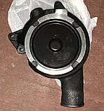 Оригінальний водяний насос U5MW0156, U5MW0157,6l-0442,02/201630 Perkins, Перкгінс, фото 2