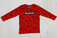 Реглан для хлопчиків, Угорщина, Glo-story, арт. 0730, 98-116 см