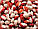 Гігант Фасоль зернова Червона Шапочка, кущова, на сухі. Зерно 20 г, фото 4