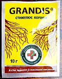 Регулятор росту кореня Грандіс 50г, фото 3