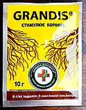 Регулятор росту кореня Грандіс 50г, фото 5