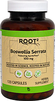 Босвелия, Vitacost, Boswellia Serrata Featuring ApresFlex®, 100 мг, 120 капсул