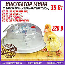 Інкубатор Міні (з електронним терморегулятором, на 24 курячих яєць)