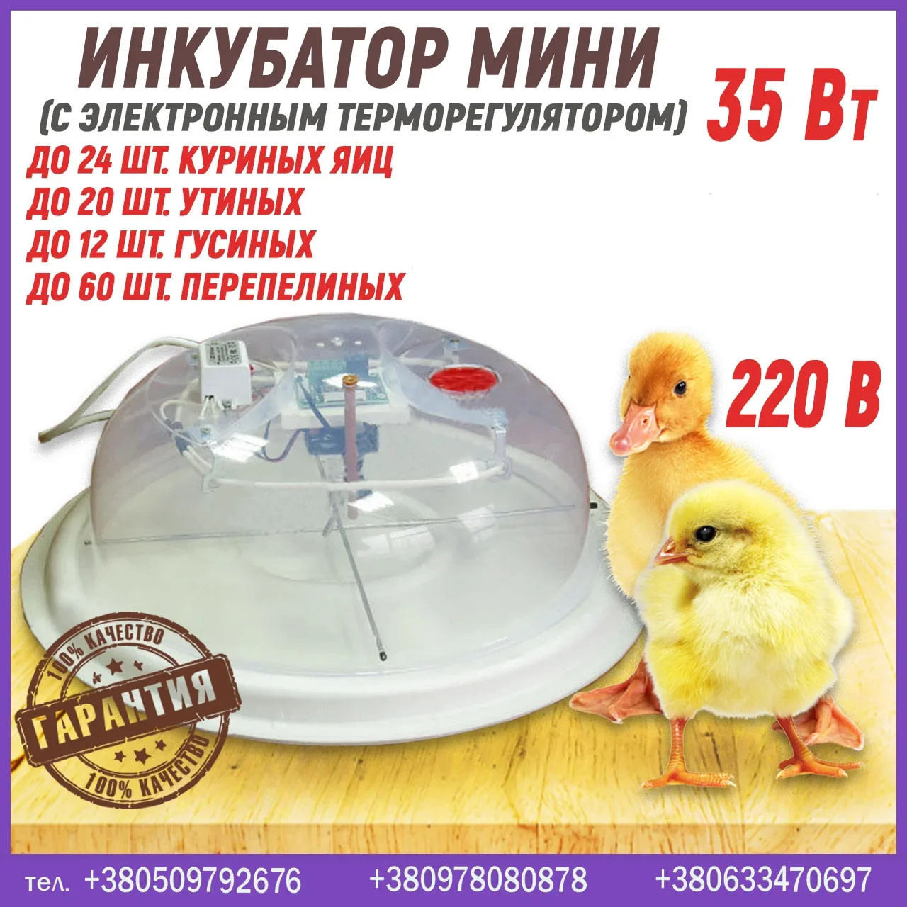 Інкубатор Міні (з електронним терморегулятором, на 24 курячих яєць)