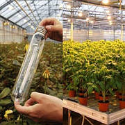 Лампи для освітлення рослин в теплицях і оранжереях