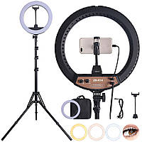 Кільцева LED лампа діаметром 34 см ZB-R14 (14339)