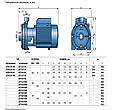 Насос Pedrollo 2CP 40/180A, фото 2