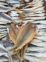 Філе нототенії (тригла) риба солоно-сушена.