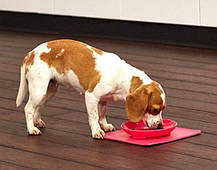 Twisty Dish нековзна миска для домашніх тварин з килимком | Посуд для собак і кішок, фото 3