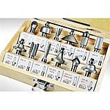 Набір фрез Stark 12 шт. (250016010), фото 3