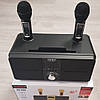 Портативна система Караоке з двома мікрофонами SDRD SD-309 Чорна, фото 9