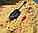 Tornado Pop-Up XL Honey Cake, фото 8