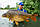 Tornado Pop-Up XL Honey Cake, фото 10