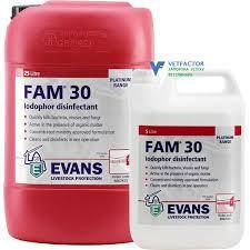 ФАМ 30 дез. засіб 25л