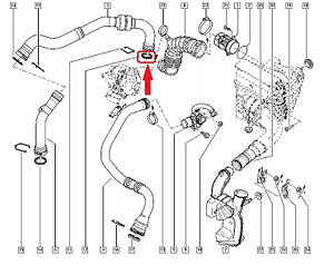 Renault (Original) 7701070788 — Ущільнювальне кільце (57/45 мм) патрубка інтеркулера на Рено Меган 3, фото 4