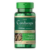 Кардицепс, Puritan's Pride Cordyceps Mushroom 750 mg 60 капсул