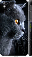 Чохол на HTC Desire 816 Красивий кіт "3038c-169-2448"