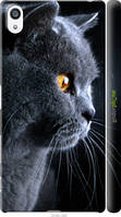 Чехол на Sony Xperia Z5 Premium E6883 Красивый кот "3038c-345-2448"