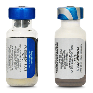 Вангард плюс 5/CV-L для собак (Vanguard Plus 5/CV-L) 1 доза