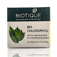 Біо Хлорофіл, Біотик/ Bio Chlorophyll, Oil-Free Anti-acne Gel, Biotique/50 г