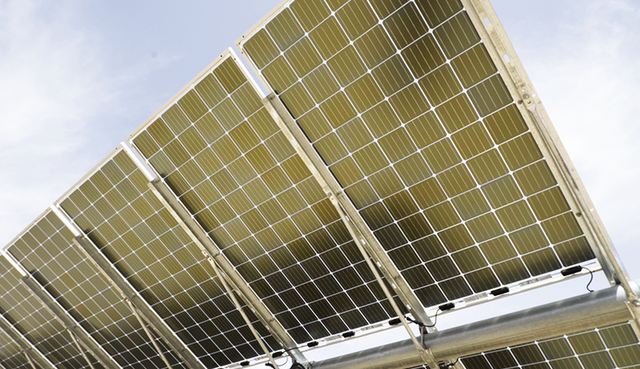Trina Solar стала лідером у виробництві двосторонніх сонячних панелей Trina Solar стала лідером у виробництві двосторонніх сонячних панелей