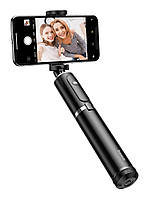 Монопод Baseus Fully Folding Selfie Stick Чорний/ Сріблястий (SUDYZP-D1S)