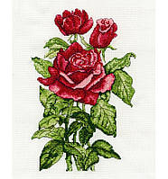 Roses (Розы) Набор для вышивки крестом DMC BK1180