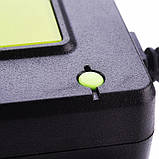 Десульфататор, регенератор свинцово-кислотных АКБ 12/24/36/48V 4А LED AUTO PULSE DESULFATOR, фото 2