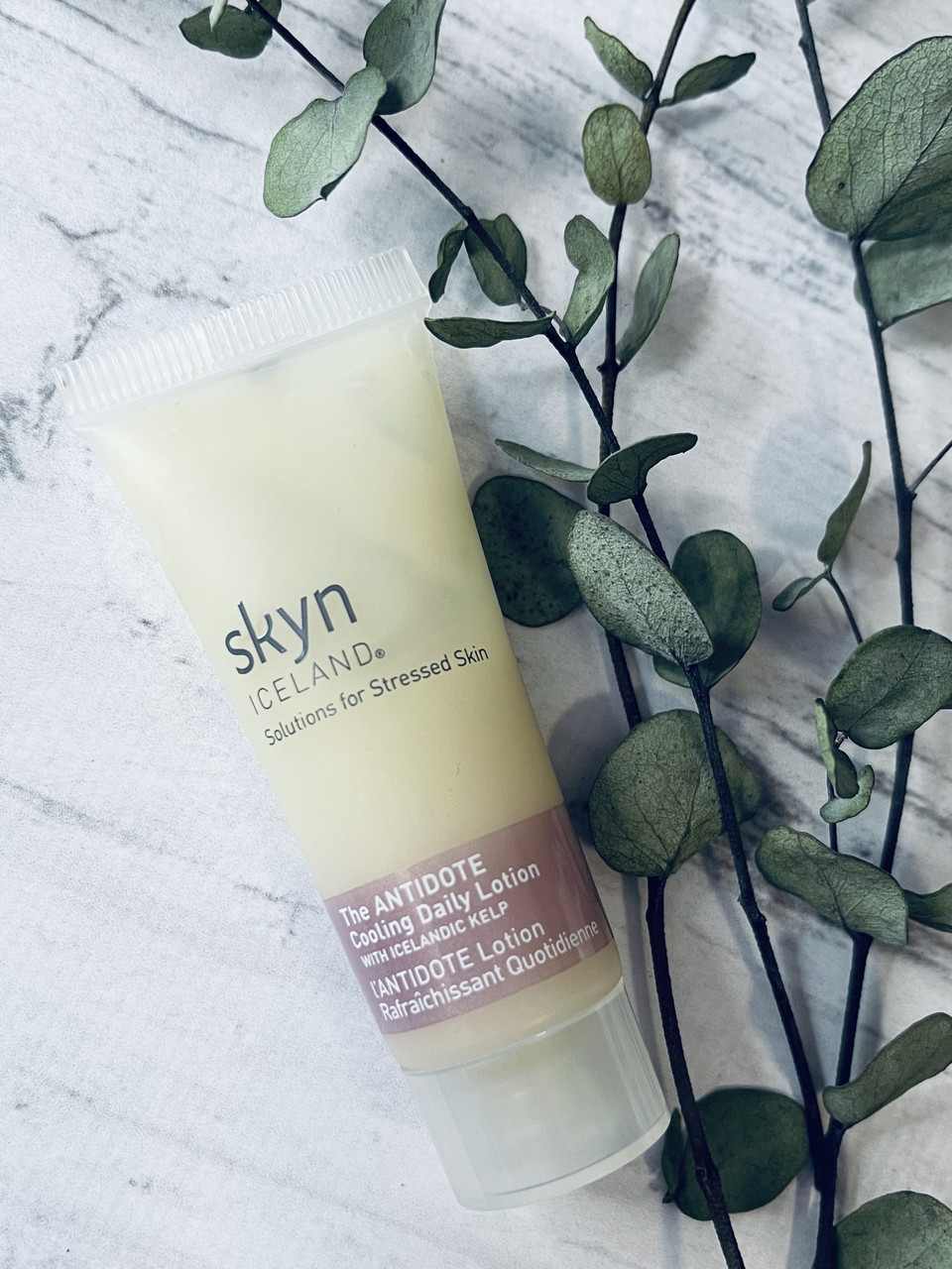 Зволоження від зісу шкіри SKYN ICELAND Antidote
