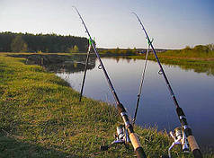 Фідерні вудилища