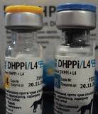 Вакцина Биокан Новел DHPPi+L4, Биовета (Чехия)
