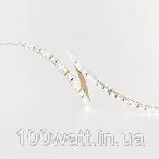 Стрічка світлодіодна MTK-600W-3528-12(7000K~8000K) 9,6 w IP65 холодна біла на білій основі, фото 1