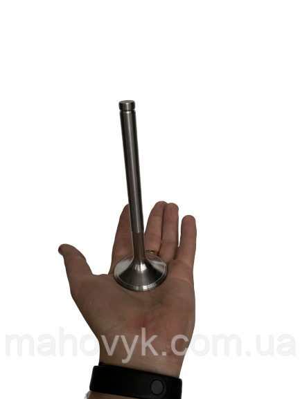 Випускний клапан d=11 61560050041, фото 1