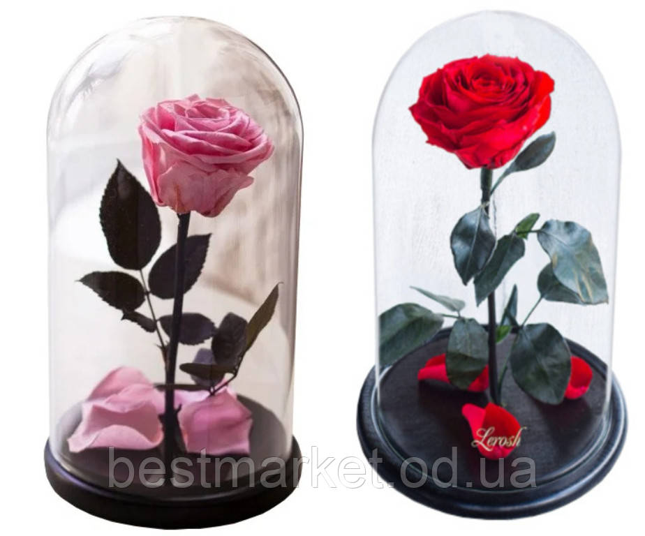 Подарункова Троянда в Колбі з LED Підсвічуванням Велика Червона і Рожева