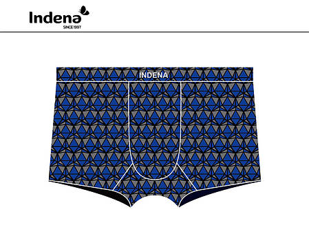 Чоловічі боксери безшовні Марка "INDENA" Арт.WH2005, фото 1
