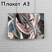 Плакат А3, Доктор Стоун 1