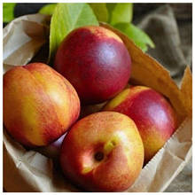 Нектарин Бурштиновий (середньо-пізній)