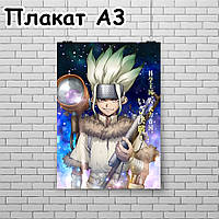 Плакат А3, Доктор Стоун 9