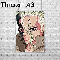 Плакат А3, Доктор Стоун 10