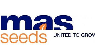 MAS Seeds