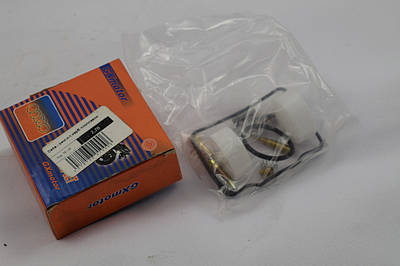 Ремкомплект карбюратора+поплавок DELTA