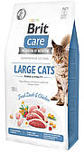 Сухий корм для котів великих порід Brit Care Cat GF Large cats Power & Vitality, 7 кг