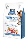 Сухий корм для котів великих порід Brit Care Cat GF Large cats Power & Vitality, 0.4 кг